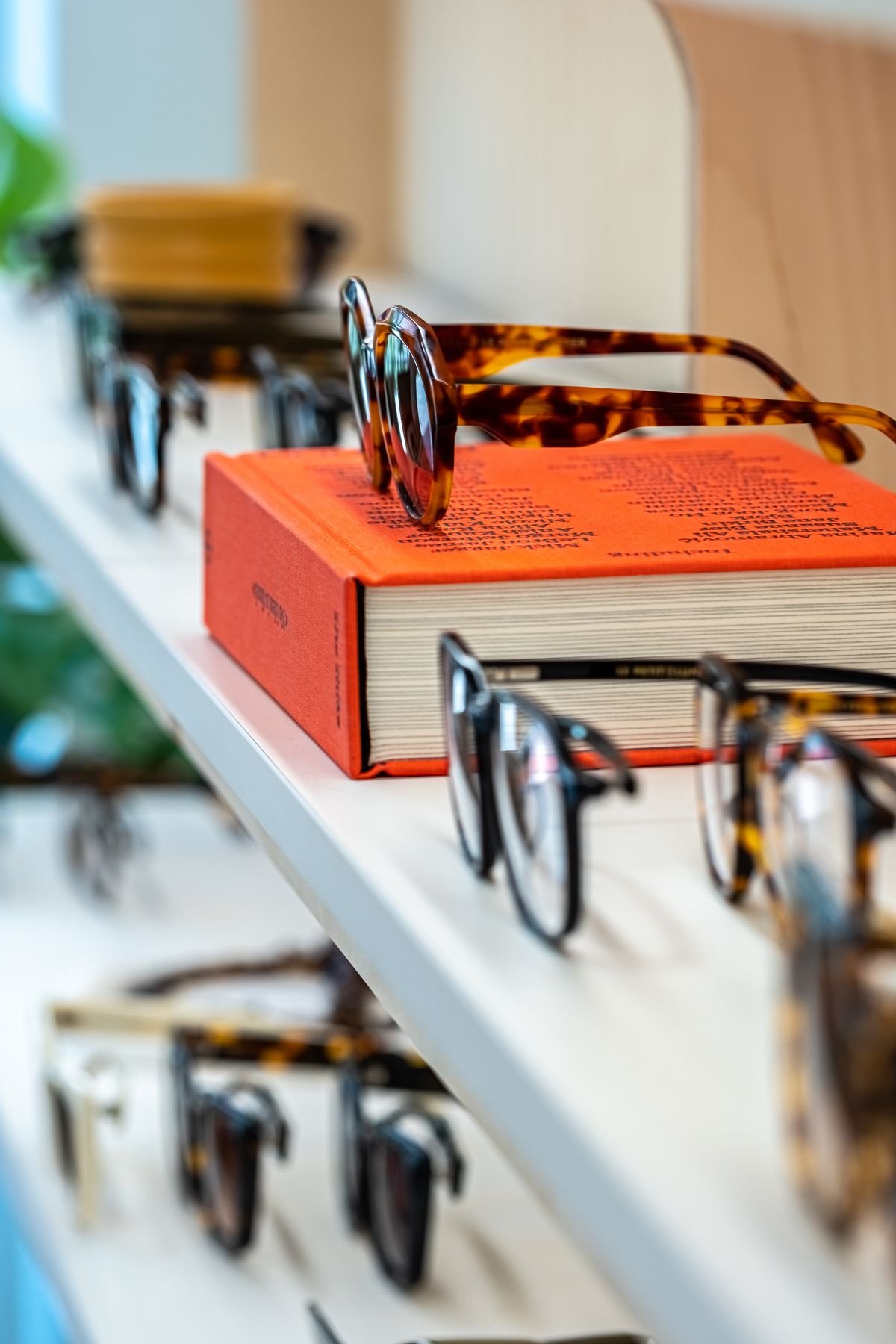 8f73d4981215a71bddbc4e86b3b3fa1a